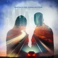 Тайпан feat. IL'GIZ & Diana Skitova — По Ночному Шоссе