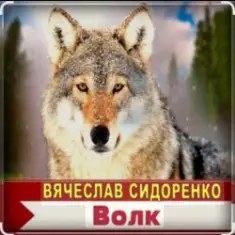 Вячеслав Сидоренко — Волк