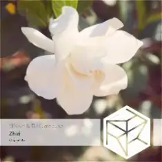 DJ Classbuse & SINKin — Zhizi (Intro Mix)