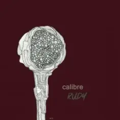 Calibre — Flu jet