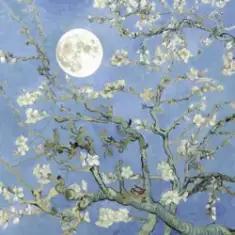 JVKE & JEON SOMI — moonboy