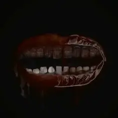 Бонд с кнопкой — Слоны