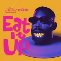 Tinie Tempah & Skepsis — Eat It Up