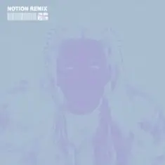CHRYSTAL & NOTION — The Days (NOTION Remix)