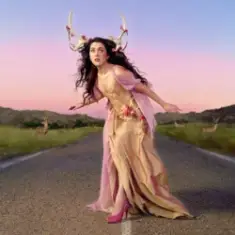 Em Beihold — Van Gogh