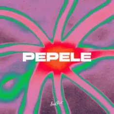AFRONOM & Lucas Estrada & Idd Aziz — Pepele