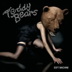 Teddybears — Punkrocker (feat. Iggy Pop)