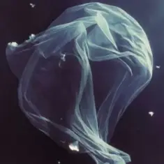 МʼЯТА & ХАС — Біла вуаль