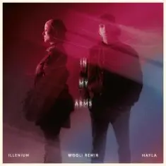 ILLENIUM & HAYLA & Wooli — In My Arms (Wooli Remix)