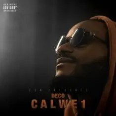 Dego — Not in My Disco