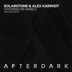 Solarstone and Alex Karweit — Choosing his angels (Sneijder remix)