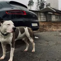 KRBK — 38 строчек