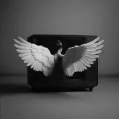 Вільна вірна