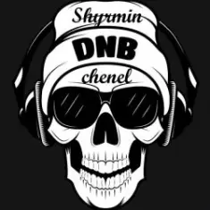 Dirtyphonics — Burbank Nights