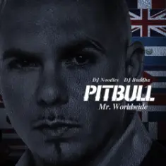 Pitbull — Pearly Gates