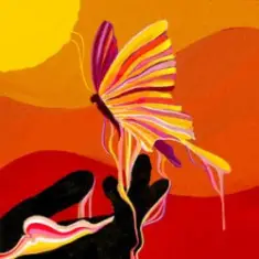 EASY FREAK — Sunshine