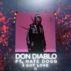 Don Diablo feat. Nate Dogg — I Got Love
