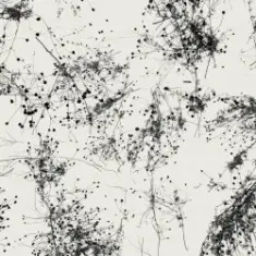 Taylor Deupree — Everything's Gone Grey