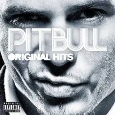 Pitbull ft. Casely — Midnight