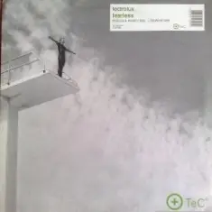 Fearless (rough and ready mix)