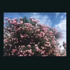 Ceres — Happy In Your Head