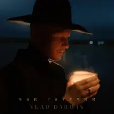 Vlad Darwin — Чай гарячий