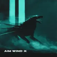 AIM WIND X & AIM WIND — Run
