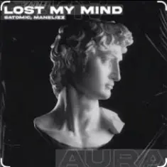 SATOMIC feat. Manelizz — Lost My Mind