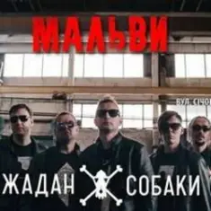 Жадан і Собаки — Мальви