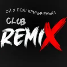 Miha Danilchuk — Ой у полі Криниченька (Club Remix)