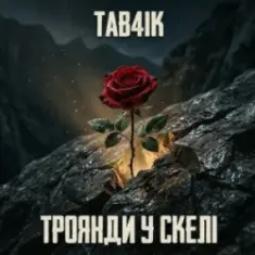 Tab4ik — Троянди у скелі