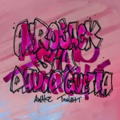 AFROJACK & Sia & David Guetta — Awake Tonight