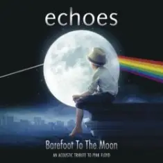 Echoes — Shine on you crazy diamond