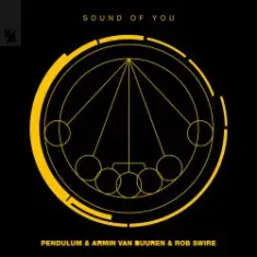 Pendulum & Armin van Buuren & Rob Swire — Sound of You