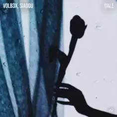 VOLB3X & Siadou — Dale