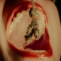 Sandhouse — Snapdragon