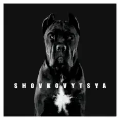 LATEXFAUNA — Shovkovytsya