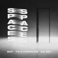 BUNT. & The Chainsmokers & Izzy Bizu — Spaces