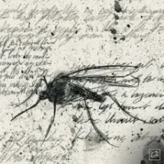 Jolliffe & Liam Bailey — Let the Sun Shine