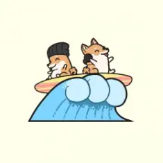 Hyper Potions — Surf
