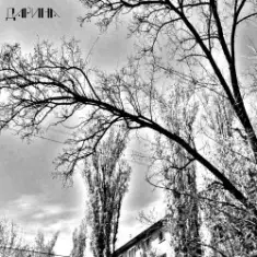 TheNobleMan — я не могу её узнать