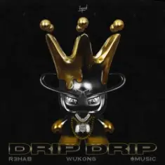 R3HAB & Wukong & $MUSIC — Drip Drip