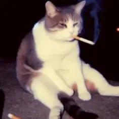 Lenar — Otro Trago