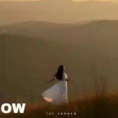 The Shadow — The lesson of love