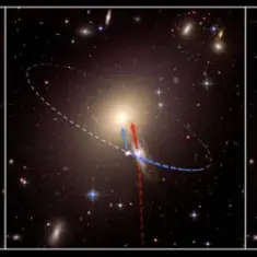 Spriticatcher — Galactik Flies