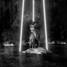 Besomorph — Surrender