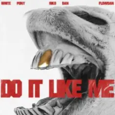 White Pony & Riko Dan & Flowdan — Do It LIke Me (VIP)