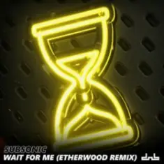 Subsonic — Wait For Me (Etherwood Remix)