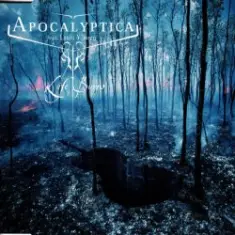 Apocalyptica Feat. Lauri Ylönen — Life Burns