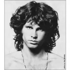 The Doors — Wild Child